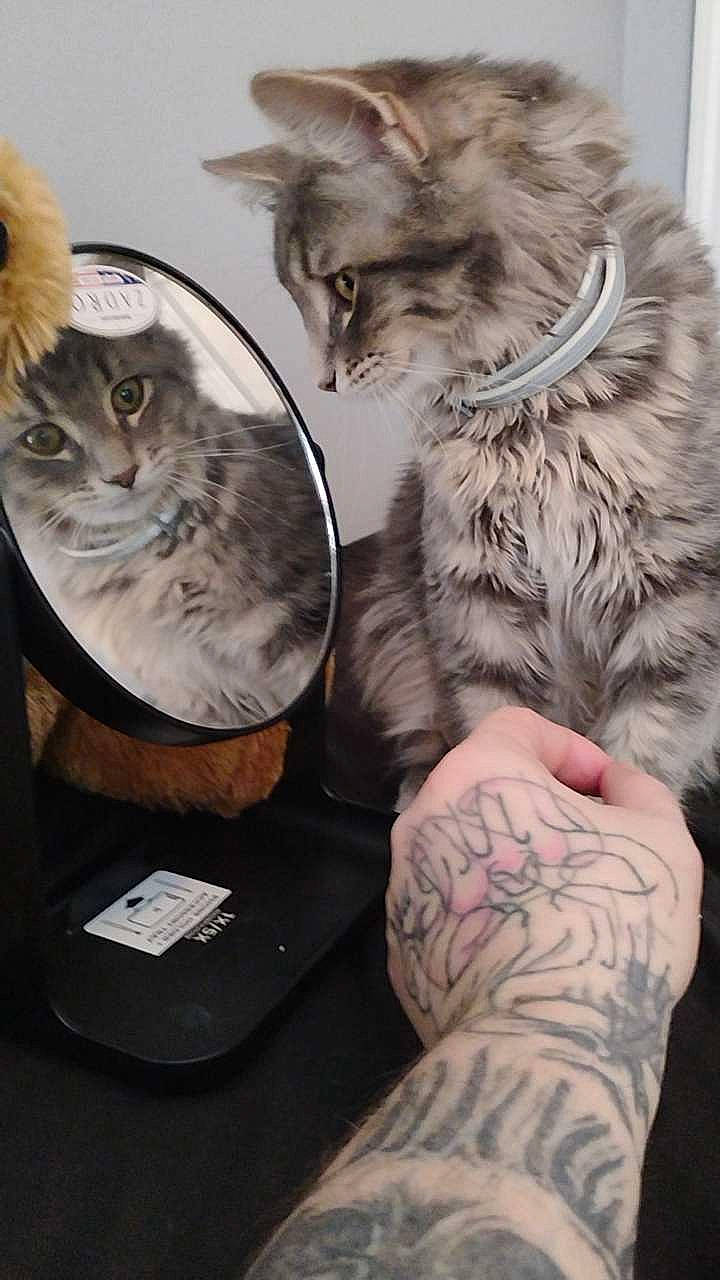 Neo Leonard Slabbert