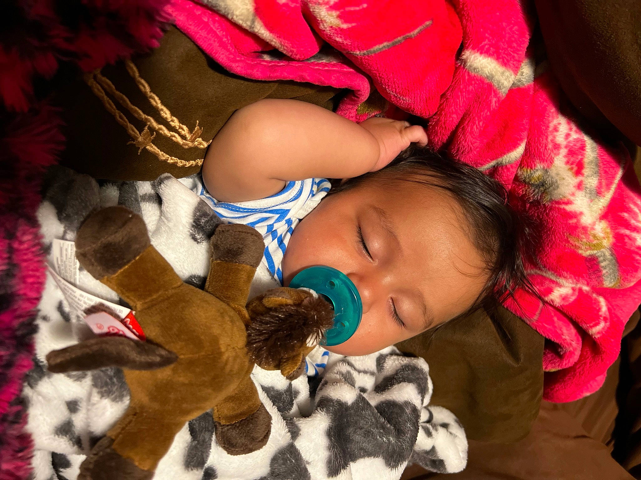 Monte is registered to the contest to win money with this photo: beauty, black_hair, child, eyelash, fashion_accessory, fawn, felidae, fun, fur, happy, headgear, linens, magenta, pattern, person, skin, stuffed_toy, textile, toddler, toy