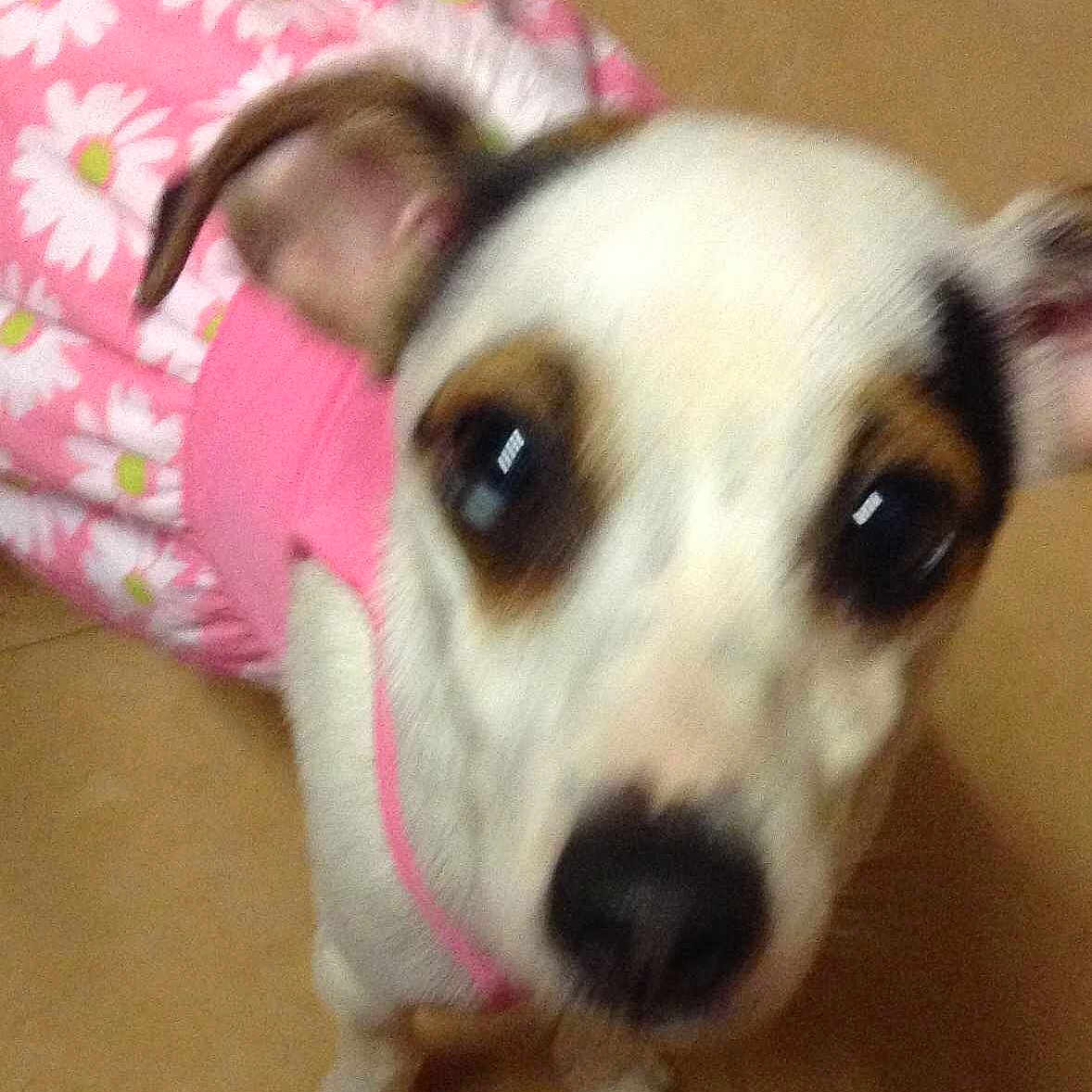 Titch joined the competition — help win amazing prizes!