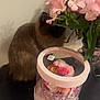 cat, floral_bouquet, vase, pink_flowers, table, gift_box, petals, indoor, wall_art, painting, black_table, fluffy_fur, long_haired_cat, green_leaves, ribbon, decor, close_up, still_life, home_interior, present