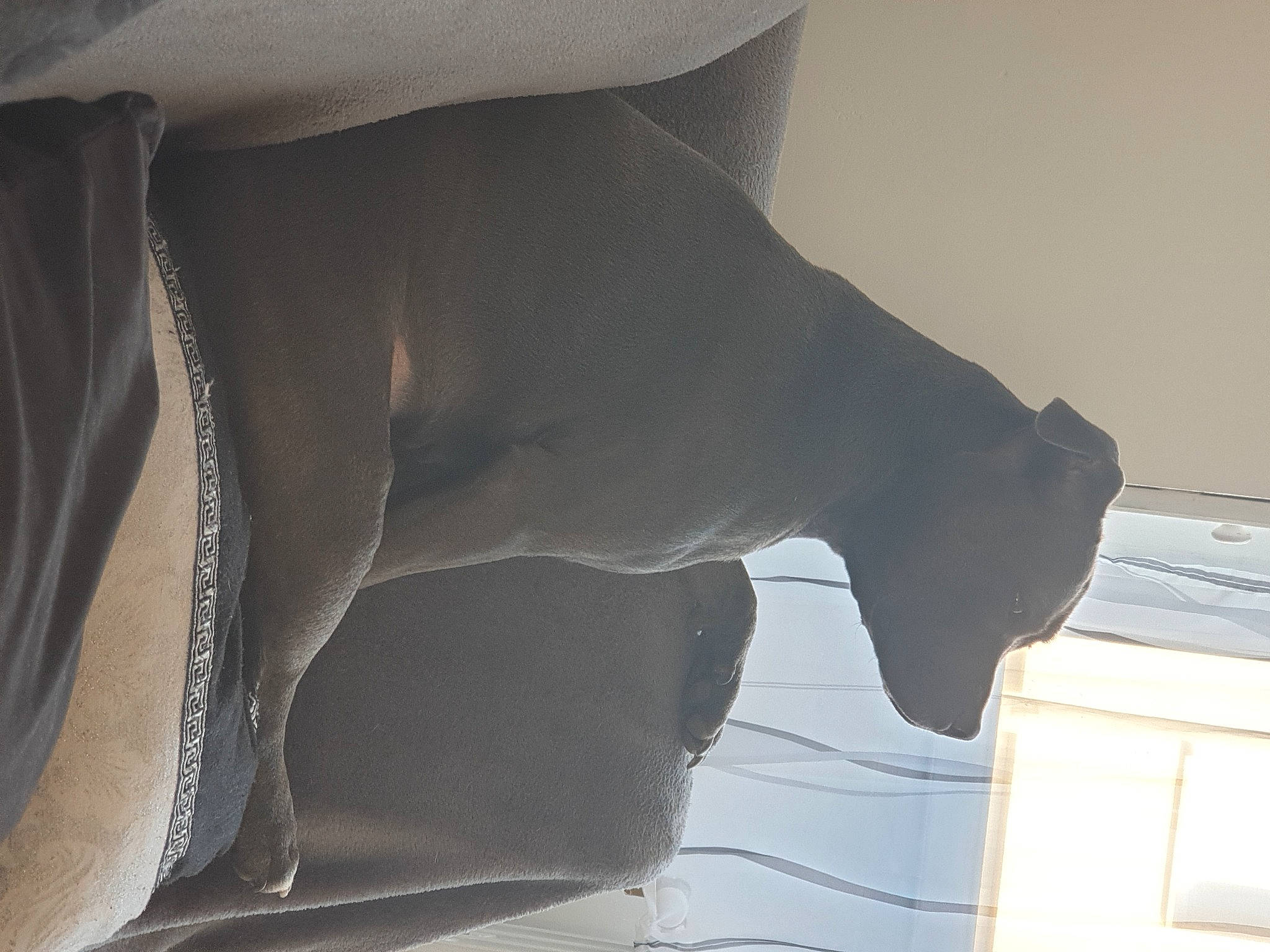 Ruby a rejoint le concours — aidez-le/la à gagner de superbes lots ! abdomen, art, calf, chest, comfort, elbow, grey, human_leg, knee, linens, pattern, sculpture, shadow, sleeve, sportswear, thigh, tints_and_shades, trunk, waist, wood