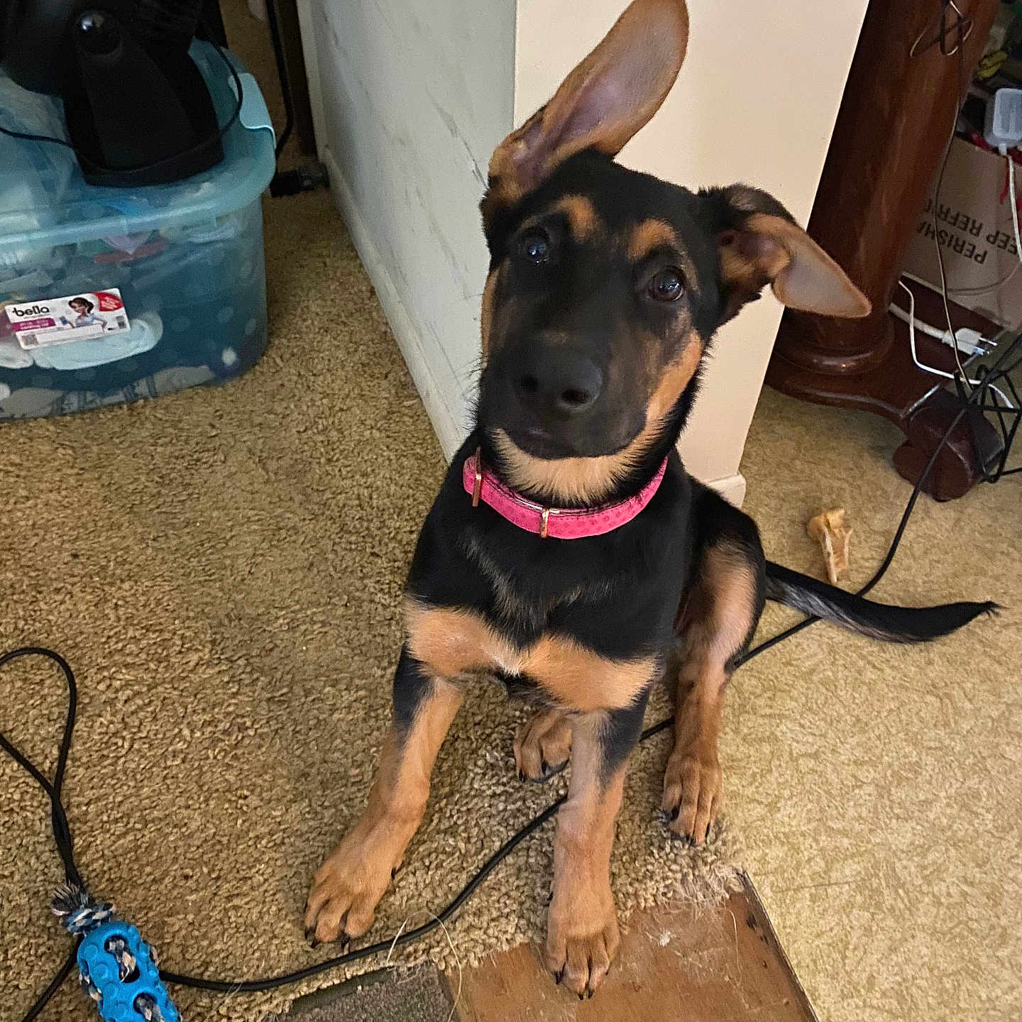 Luna