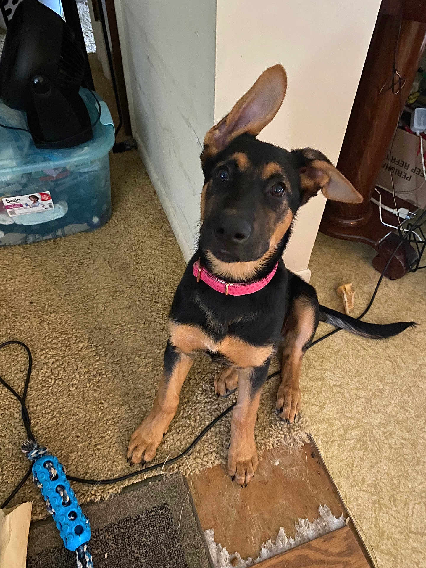 Luna