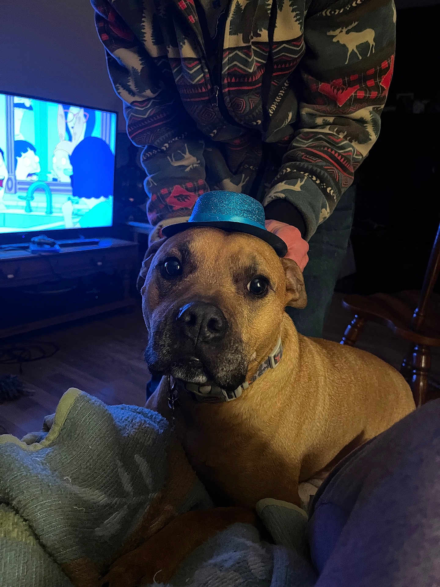 Scrappy