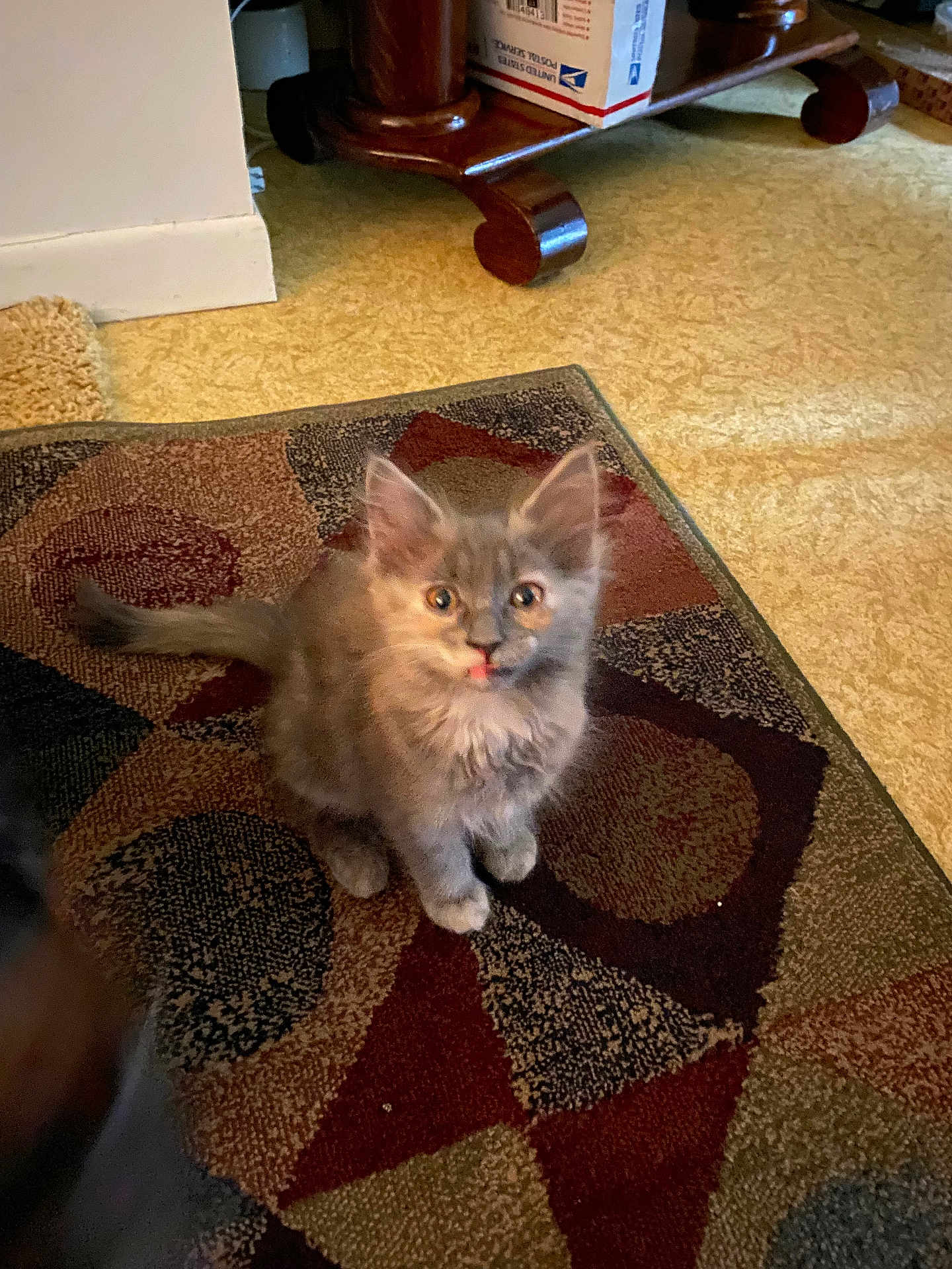 Tiny