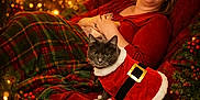 Gracie is registered to the contest to win money with this photo: woman, cat, holiday, christmas, festive_clothing, plaid_blanket, red_chair, glasses, smile, indoor, decorations, lights, greenery, cozy, pet, santa_outfit, relaxing, warm_lighting, celebration, portrait