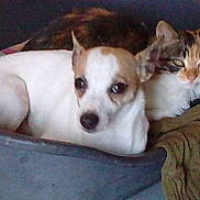 Loulou participe au concours pour gagner de l'argent avec cette photo :