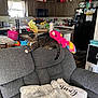 cat, tabby_cat, plush_toy, gray_recliner, couch, kitchen, wooden_cabinets, window, curtains, pillow, blanket, living_room, indoor, household_items, recliner_backrest, natural_light, colorful_toy, relaxed, furniture, pet