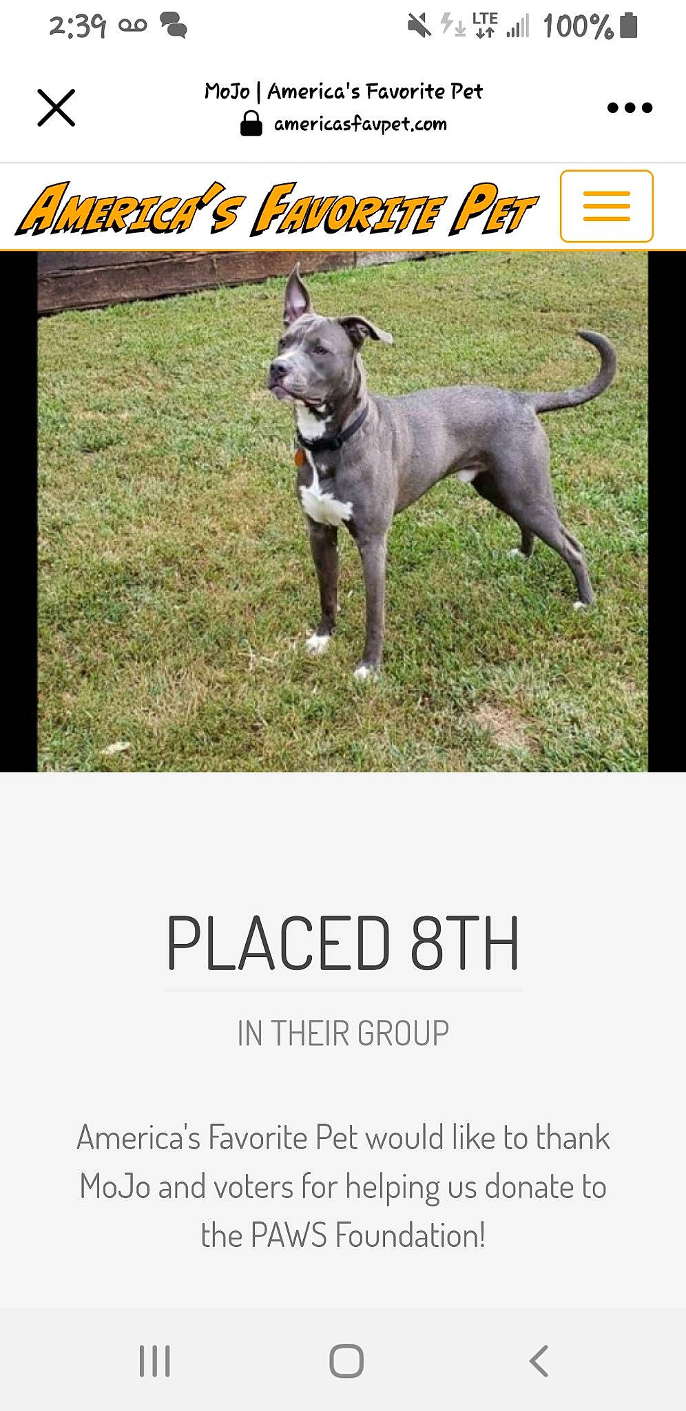 Mojo joined the competition — help win amazing prizes! advertising, ancient_dog_breeds, brand, carnivore, collar, companion_dog, dog, dog_breed, dog_supply, font, mammal, non_sporting_group, pet_supply, photo_caption, poster, snout, sporting_group, tail, terrestrial_animal, working_animal