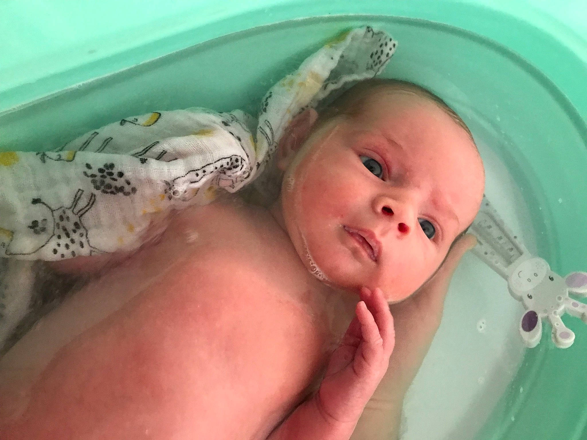Warren participe au concours pour gagner de l'argent avec cette photo : baby, baby_bathing, bathing, bathroom, bathtub, cheek, child, eyebrow, eyelash, finger, fluid, happy, iris, mouth, person, plumbing_fixture, skin, smile, thumb, toddler
