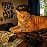 Papa is registered to the contest to win money with this photo: cat, orange_tabby, cap, gold_chain, watch, money, stacks_of_cash, toy_gun, bandana, wooden_table, graffiti_text, indoor, feline, pet, animal, accessories, portrait, close_up, hat, bling