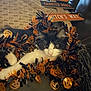 cat, black_and_white, halloween, garland, jack_o_lantern, decorations, couch, sign, spooky, haunted_house, witchs_way, indoor, pet, animal, cute, festive, holiday, orange, black, white