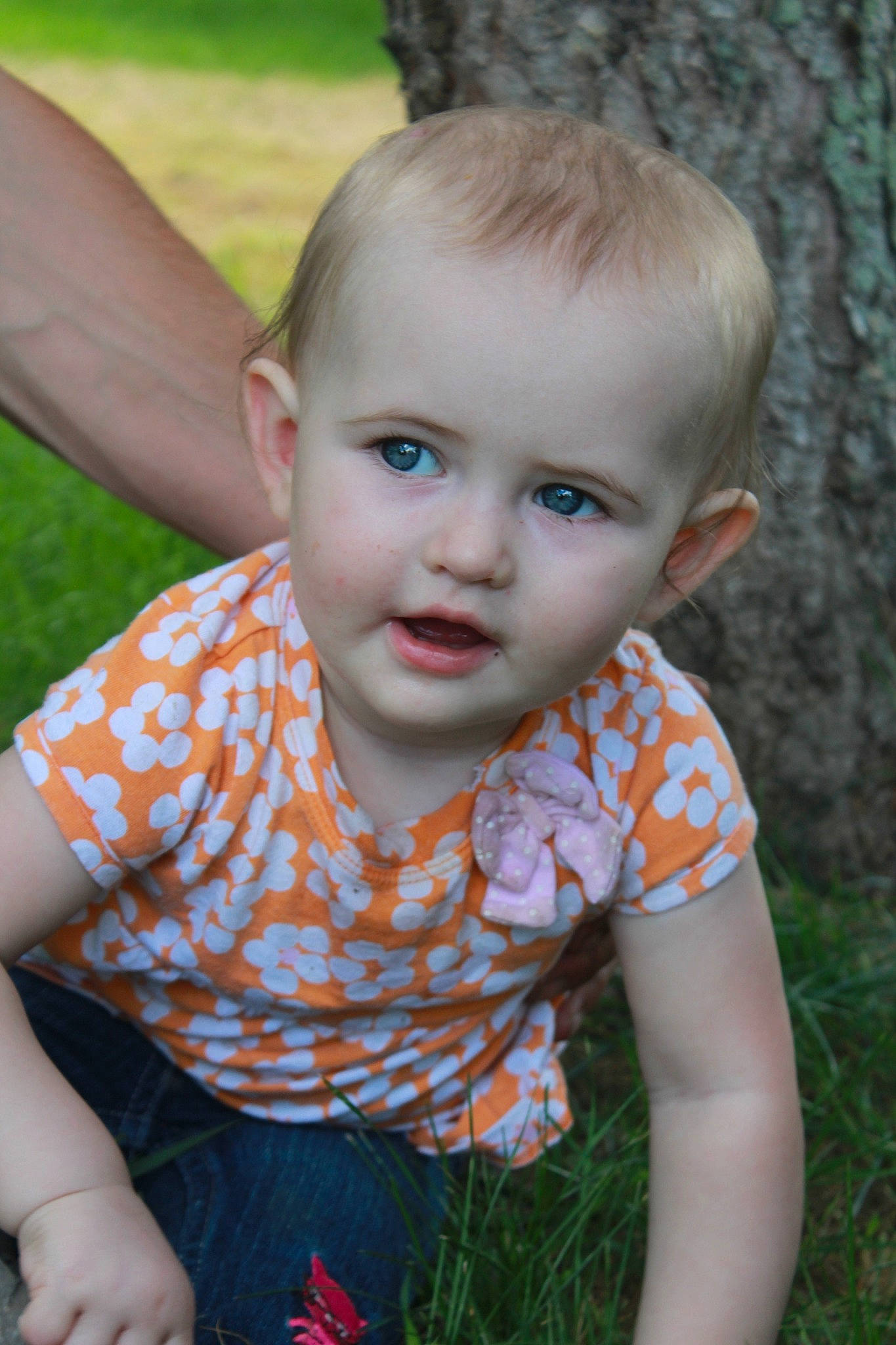 Addison is registered to the contest to win money with this photo: adaptation, baby, cheek, child, chin, eye, face, grass, green, head, iris, lip, nose, person, photography, plant, portrait, portrait_photography, skin, summer