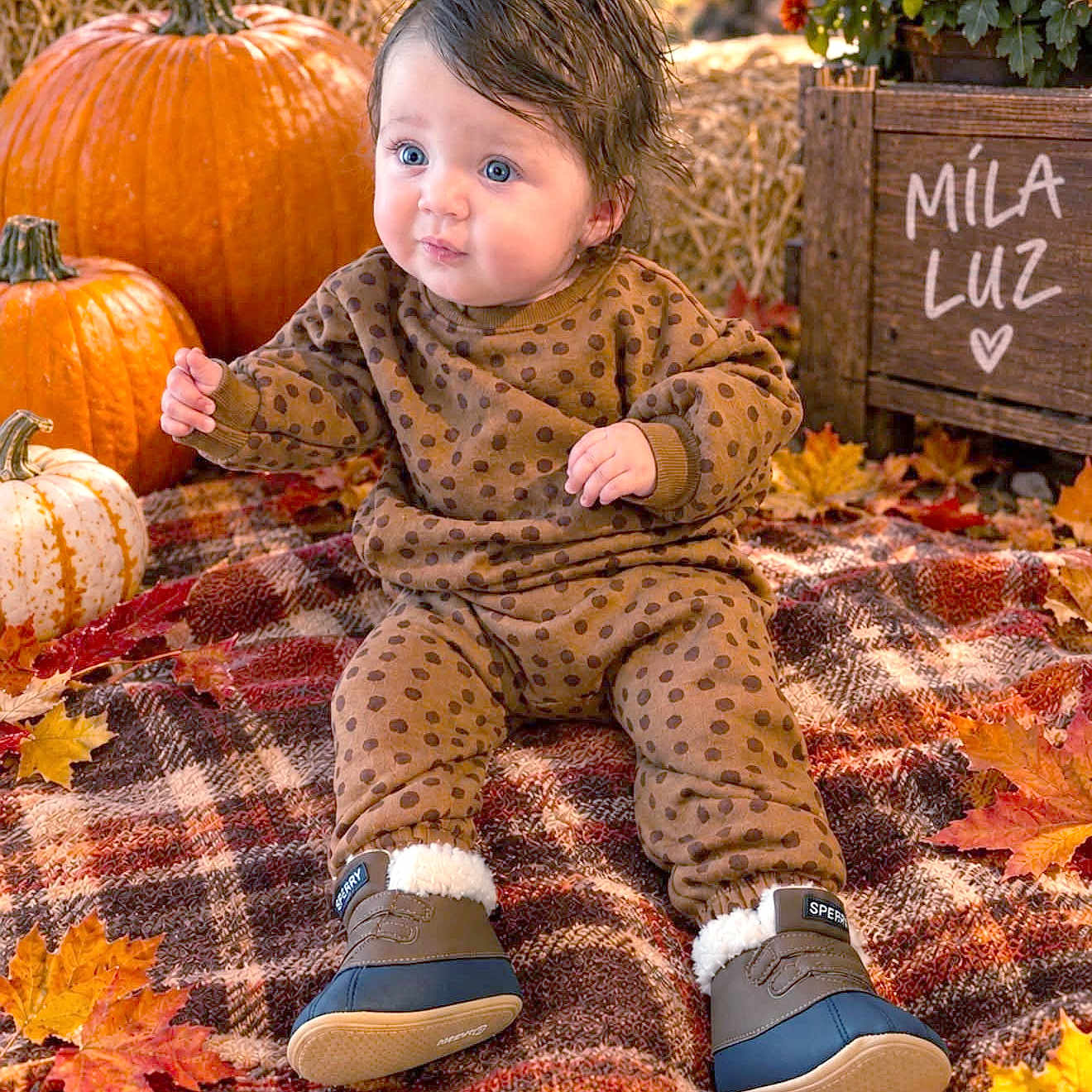 Mila