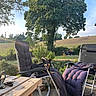 Desmond joined the competition — help win amazing prizes! backyard, canine, chair, cushion, daylight, dog, field, furniture, garden, grass, happy, leaves, nature, outdoor, pet, relaxing, sunlight, table, tree, wood