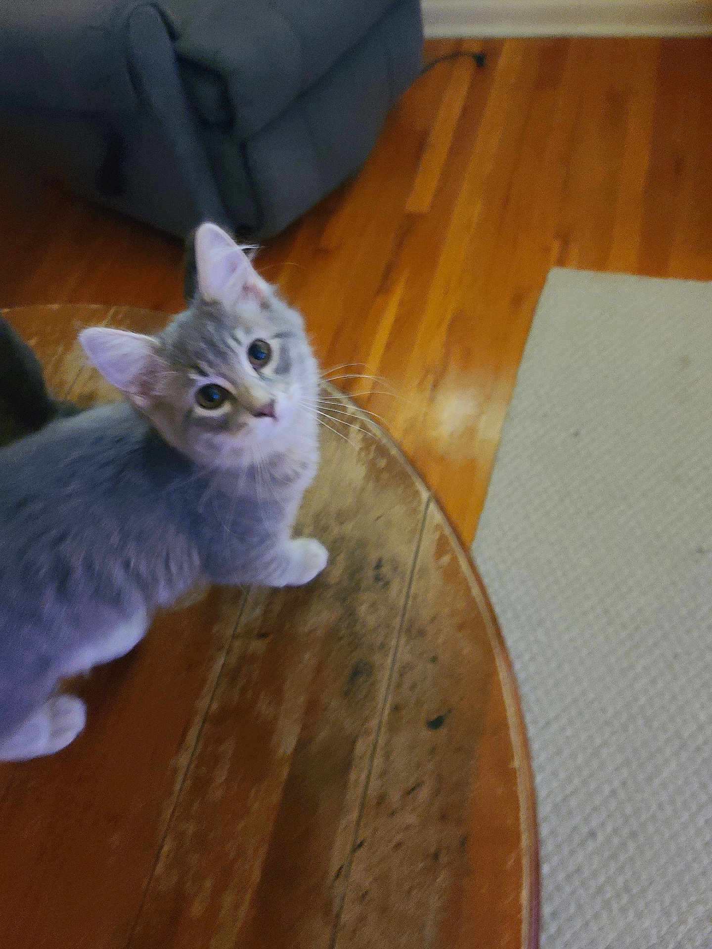 Lila