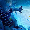 Branson joined the competition — help win amazing prizes! toddler, child, aquarium, fish, glass, blue_light, striped_shirt, dinosaur_patch, sneakers, hand, sea_life, curiosity, smile, indoor, young_child, sitting, exploration, portrait, candid, water