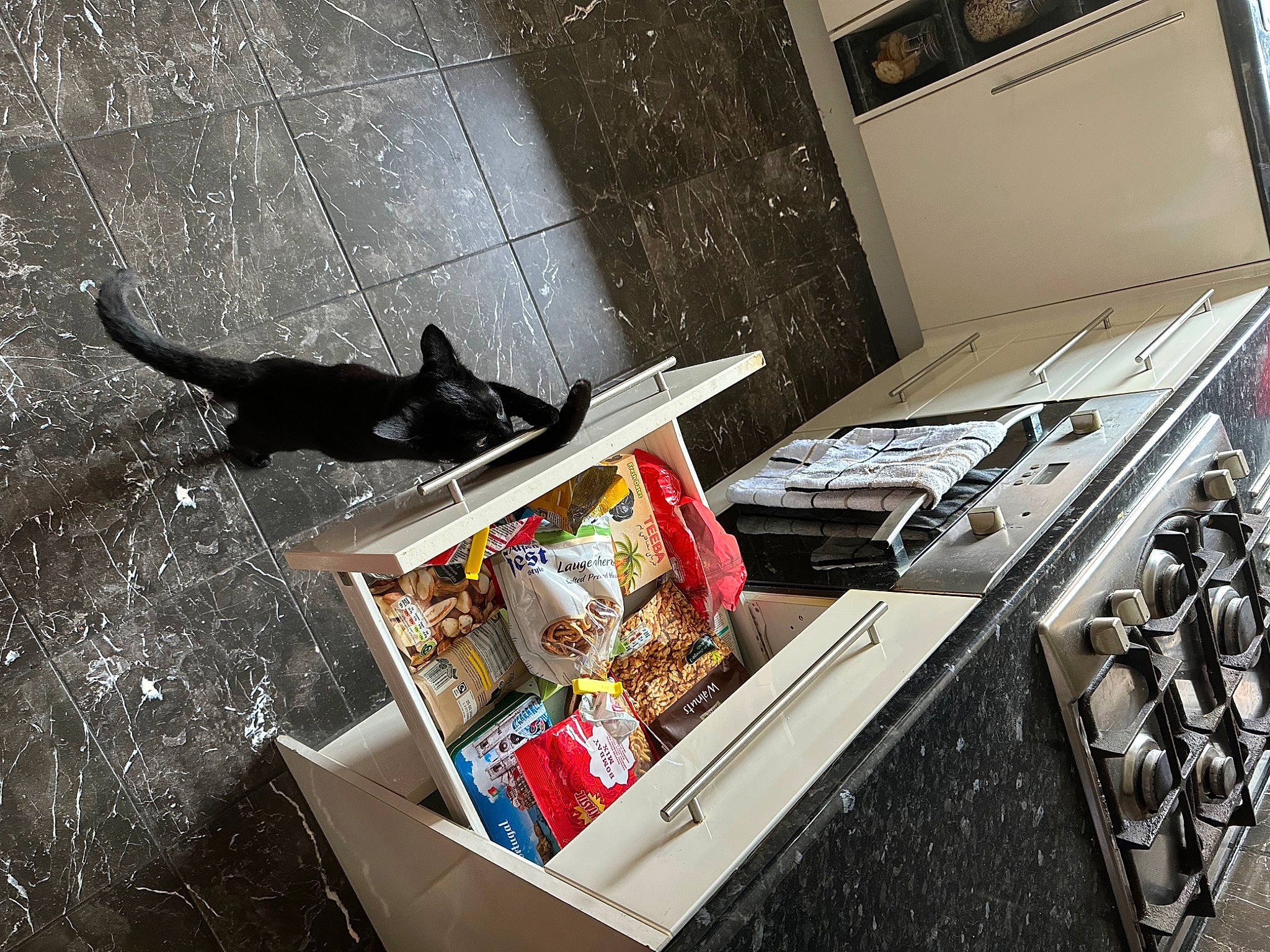 Luna is registered to the contest to win money with this photo: audio_equipment, box, cardboard, carton, cat, computer_hardware, drawer, felidae, gadget, machine, office_supplies, packaging_and_labeling, packing_materials, plastic, publication, room, shipping_box, small_to_medium_sized_cats, tail, whiskers