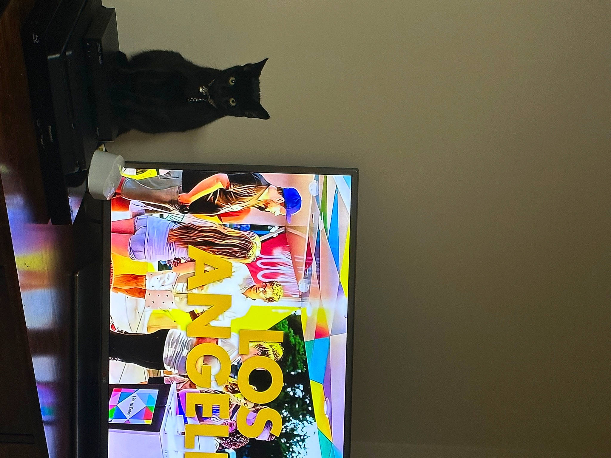 Luna joined the competition — help win amazing prizes! art, cat, creative_arts, display_device, felidae, glass, machine, paint, rectangle, room, small_to_medium_sized_cats, visual_arts