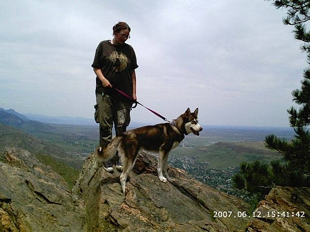 Kira joined the competition — help win amazing prizes! canidae, carnivore, czechoslovakian_wolfdog, dog, dog_breed, dog_hiking, east_siberian_laika, greenland_dog, hunting_dog, kunming_wolfdog, mammal, native_american_indian_dog, northern_inuit_dog, recreation, saarloos_wolfdog, seppala_siberian_sleddog, sled_dog, tamaskan_dog, vertebrate, wolfdog