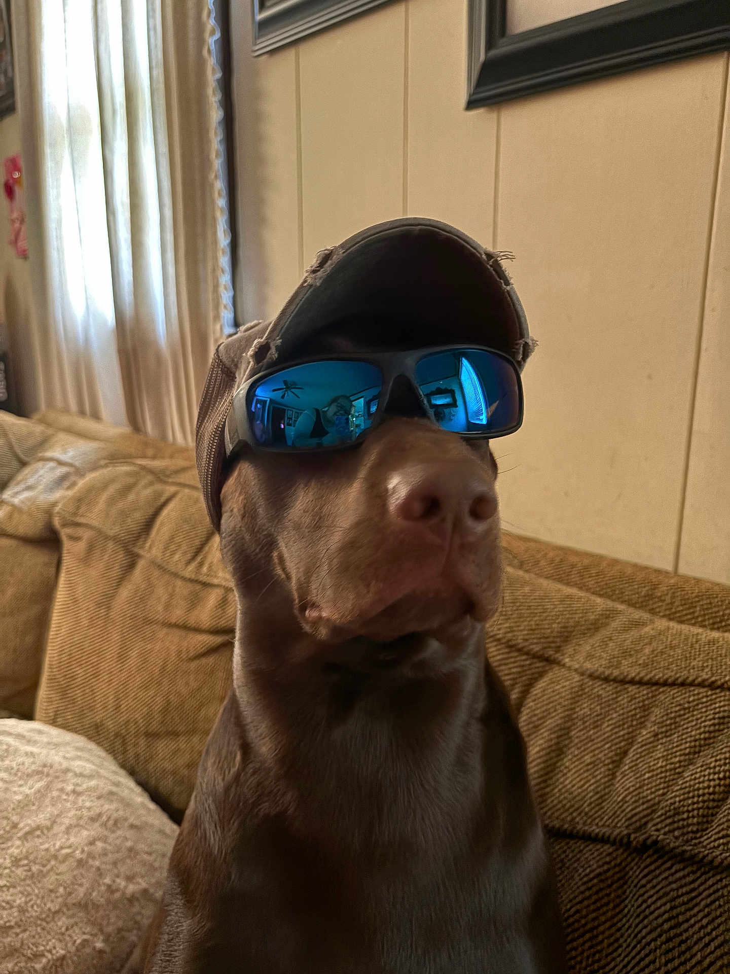 Samson