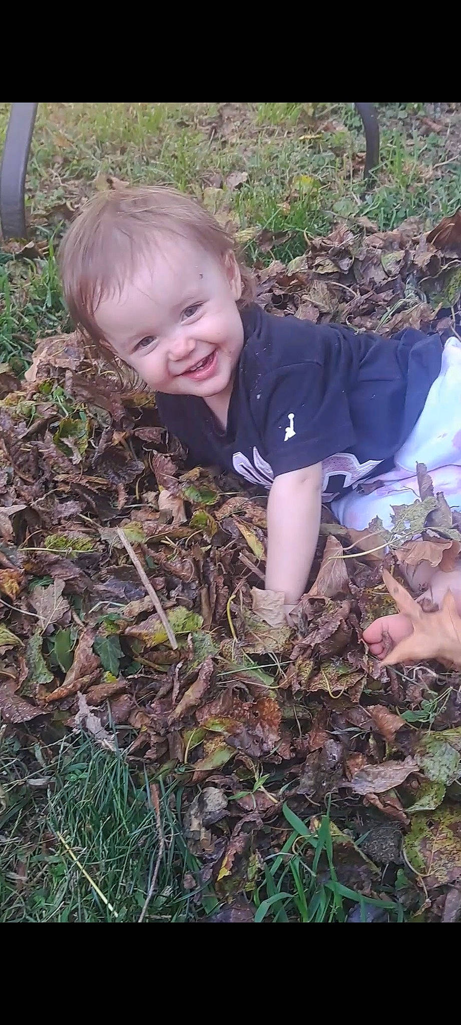 Journey is registered to the contest to win money with this photo: adaptation, botany, child, compost, garden, gardening, grass, groundcover, hand, herb, joy, leaf, people_in_nature, person, plant, smile, soil, spring, terrestrial_plant, toddler