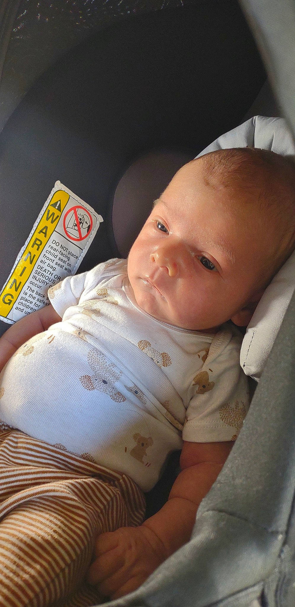 Dalton joined the competition — help win amazing prizes! baby, baby_toddler_clothing, beauty, cheek, child, chin, comfort, eyebrow, facial_expression, finger, human, lip, mammal, mouth, nose, person, product, skin, sleeve, textile