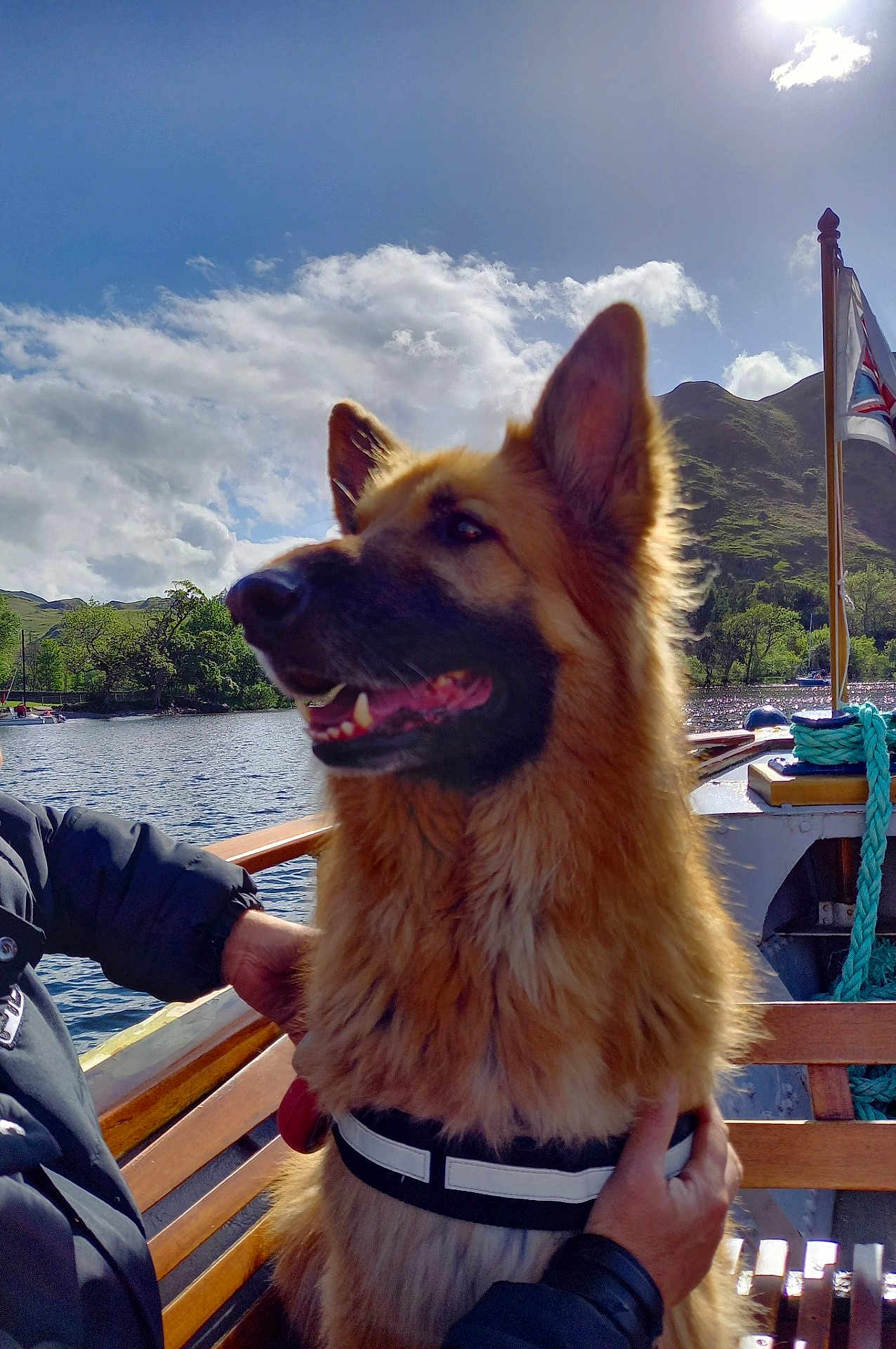 Bentley is registered to the contest to win money with this photo: dog, german_shepherd, boat, lake, water, sky, clouds, mountain, trees, outdoor, nature, pet, animal, happy, canine, person, hand, wood, harness, sunlight