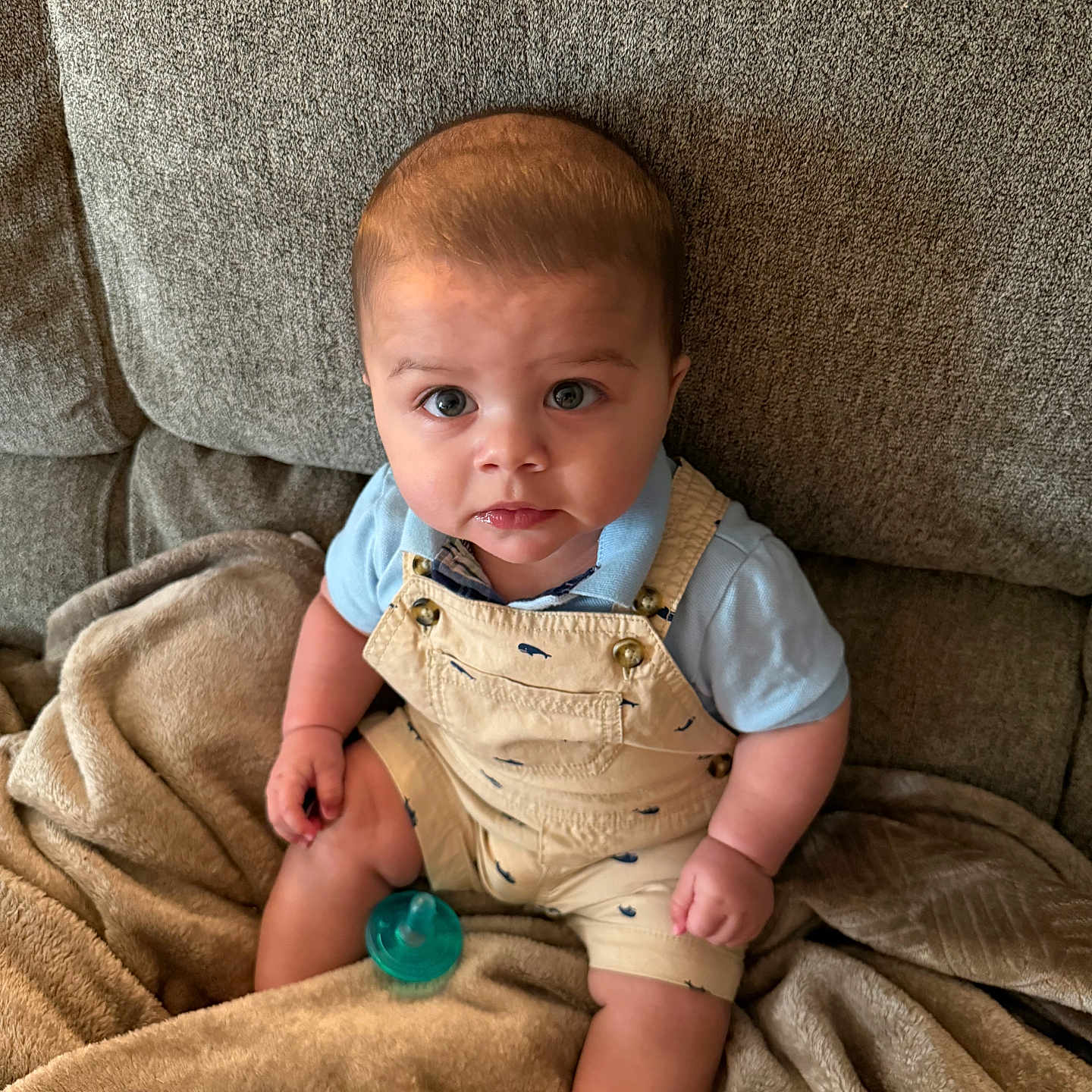 Xzhavien joined the competition — help win amazing prizes! baby, blanket, blue_shirt, child, couch, cozy, curious_expression, cute, furniture, indoors, infant, looking_up, overalls, pacifier, plush_blanket, seated, small_hands, soft_texture, whale_prints, young_child