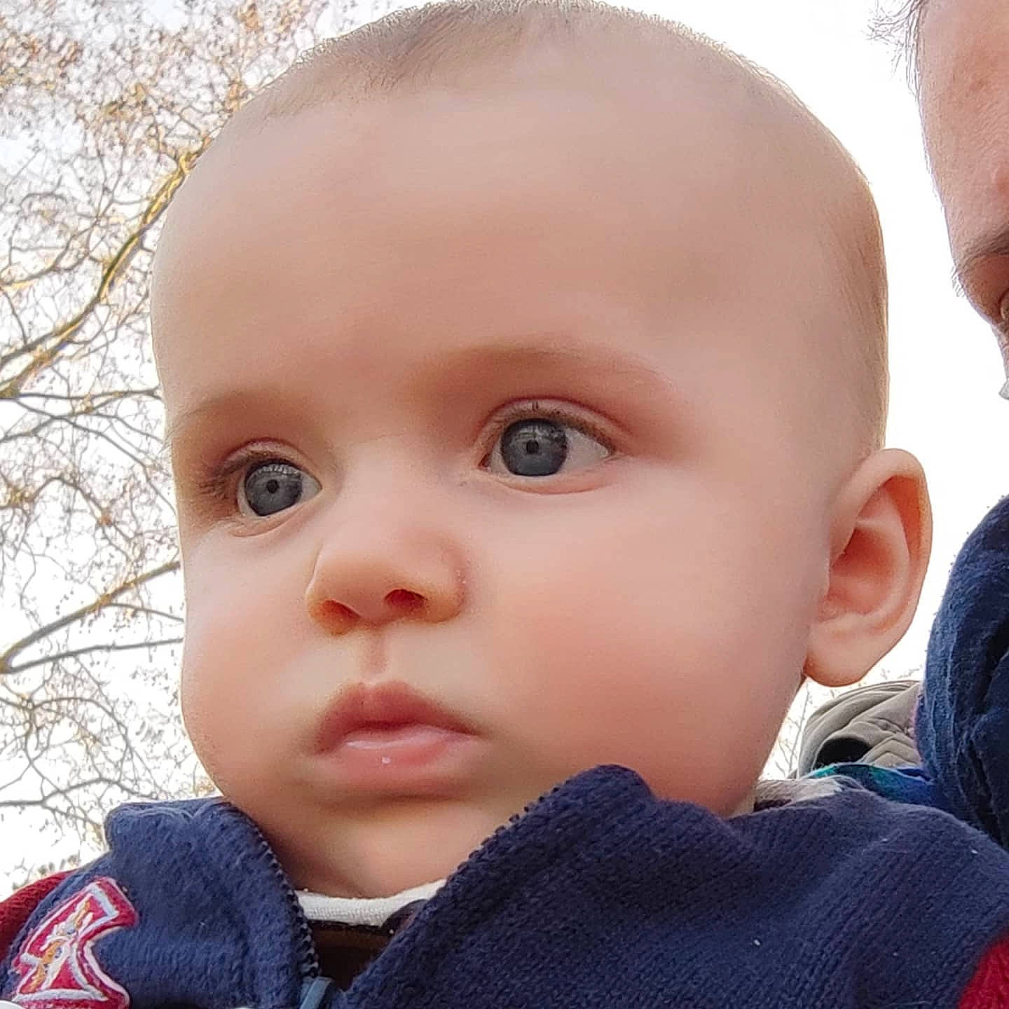 Maxence a rejoint le concours — aidez-le/la à gagner de superbes lots ! baby, baby_toddler_clothing, beauty, cheek, child, electric_blue, eyelash, grass, nose, person, plant, portrait_photography, skin, sky, sleeve, toddler, tree, twig