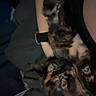 cat, tortoiseshell_cat, animal, pet, arm, person, indoor, low_light, feline, resting, cozy, dark, blurred, closeup, domestic_animal, companion, fur, eyes, human, cuddle