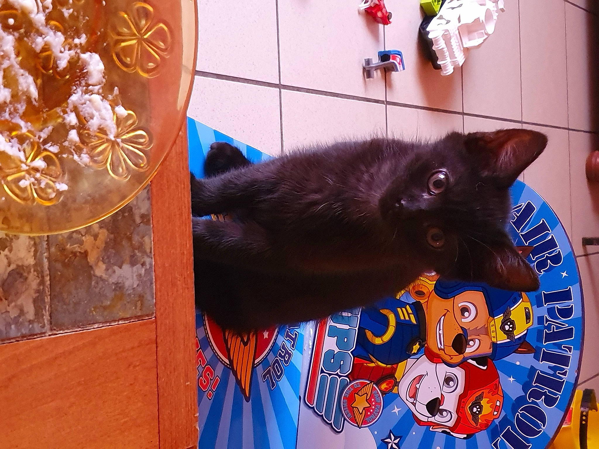 Coco participe au concours pour gagner de l'argent avec cette photo : art, black_cat, blue, bombay, carnivore, cat, domestic_short_haired_cat, electric_blue, felidae, organism, pattern, purple, red, small_to_medium_sized_cats, snapshot, snout, tail, textile, whiskers, wood