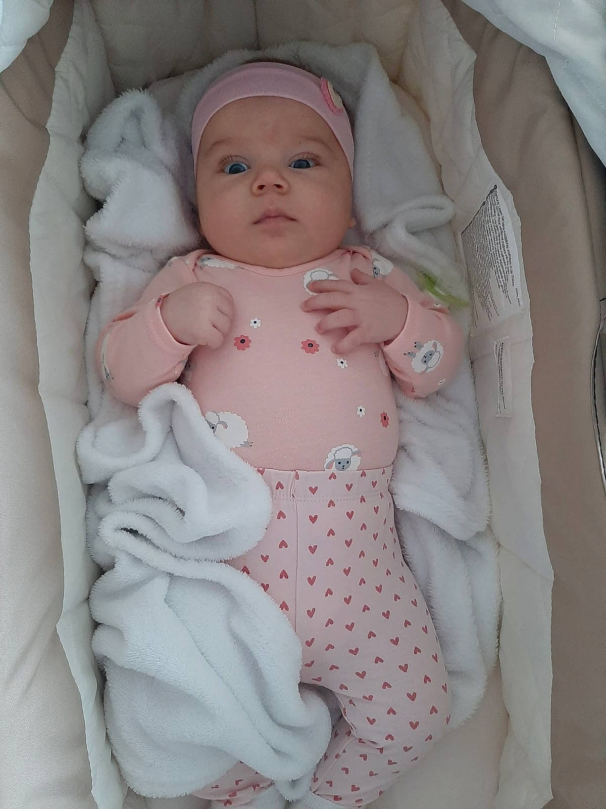 Maia participe au concours pour gagner de l'argent avec cette photo : baby, baby_products, baby_safety, baby_sleeping, baby_toddler_clothing, cheek, chest, child, comfort, eye, face, headwear, linens, person, pink, skin, sleeve, stomach, textile, thumb