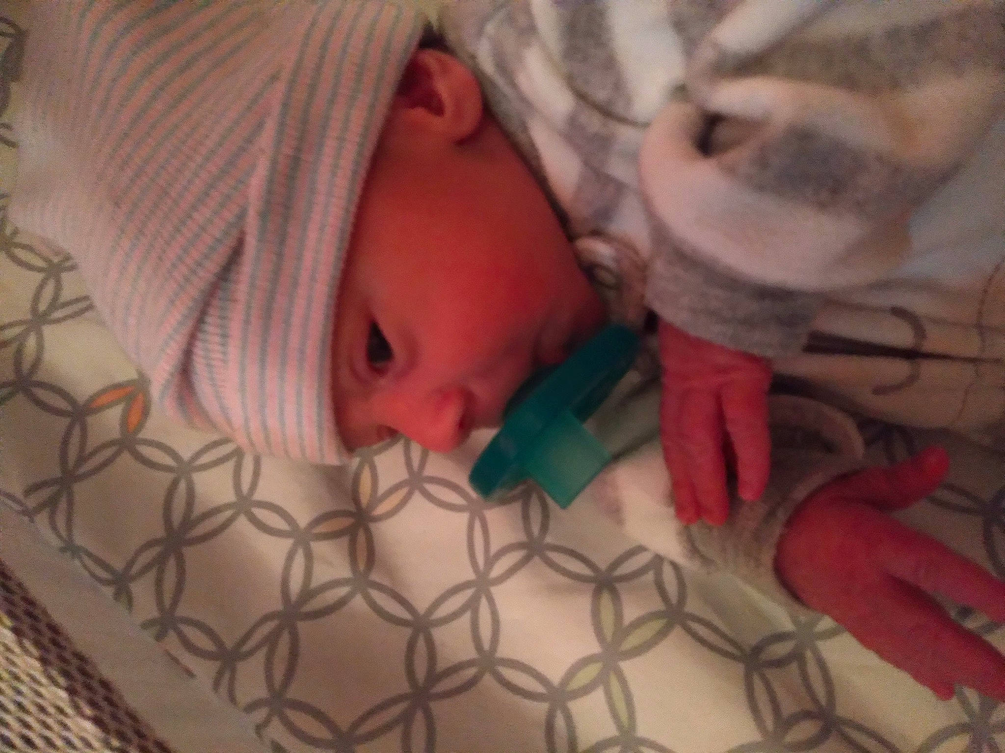 Bruce Jr joined the competition — help win amazing prizes! baby, baby_products, baby_safety, bed, bedding, cheek, child, comfort, eye, eyebrow, flooring, headwear, human_body, infant_bed, iris, linens, mouth, nose, person, skin