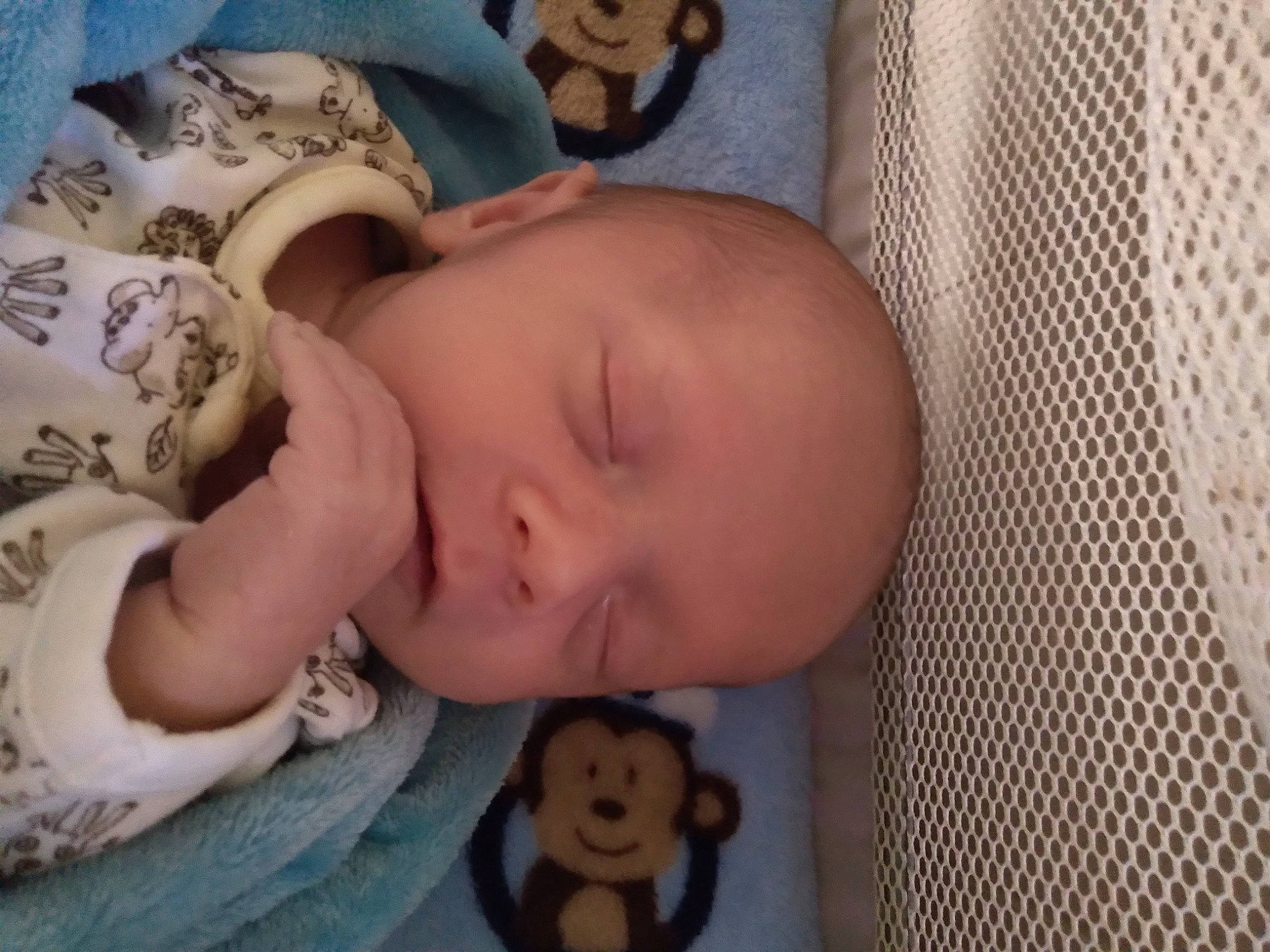 Bruce Phillip Patterson Jr