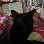 black_cat, bedroom, blanket, colorful, poster, hello_kitty, dresser, television, person_on_tv, headphones, cable, stuffed_toy, wall_art, bed, furniture, indoor, animal, pet, blur, cozy