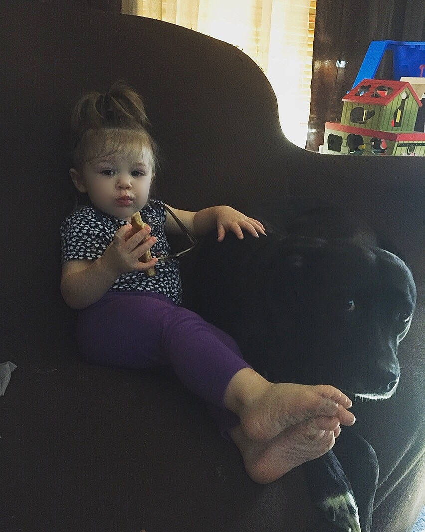 Alaina is registered to the contest to win money with this photo: baby, chair, child, ear, eye, leg, lip, person, sitting, skin, smile, toddler