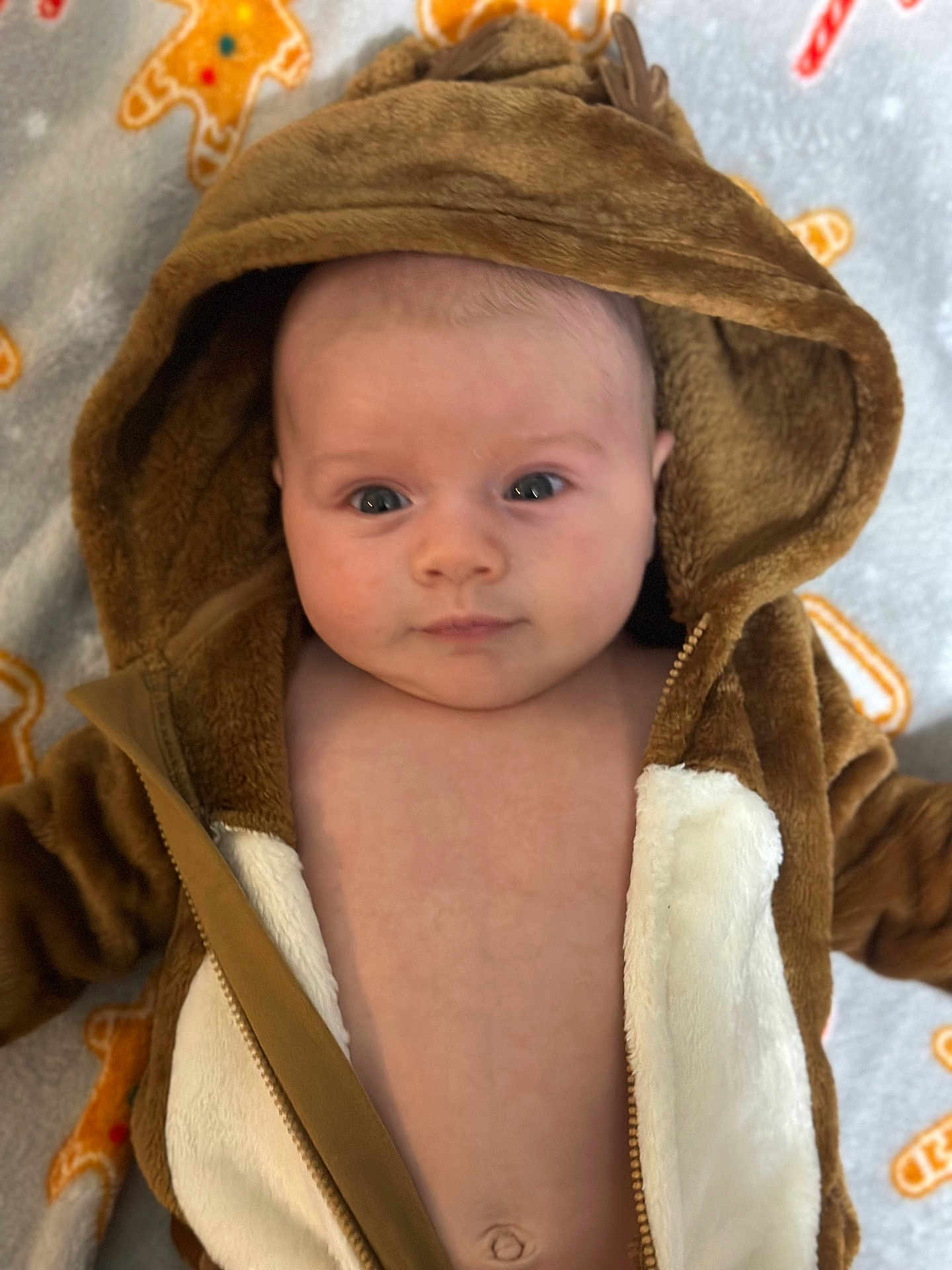 Alexander joined the competition — help win amazing prizes! baby, infant, hoodie, brown, white, blanket, gingerbread_men, soft, cute, face, eyes, expression, lying_down, warm, child, clothing, zipper, indoor, person, cozy