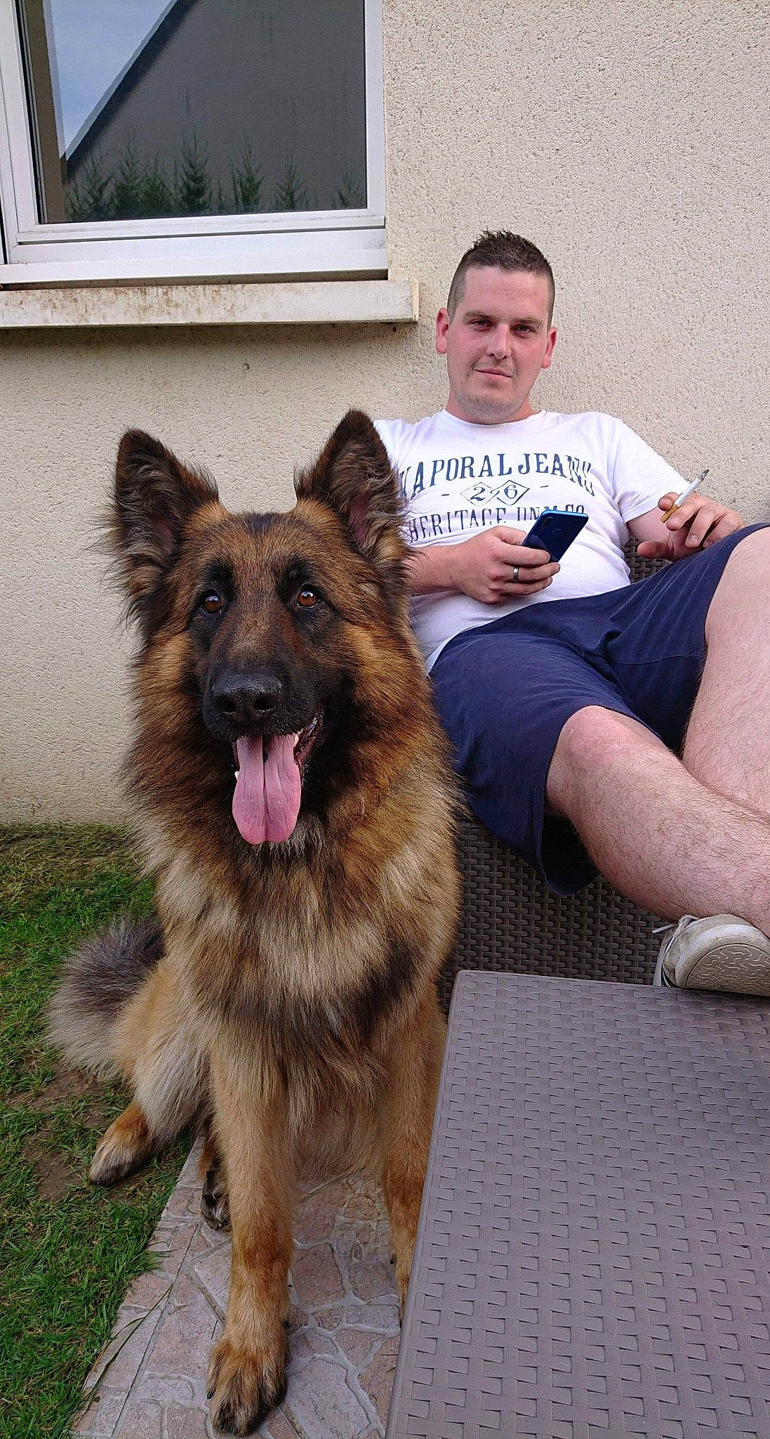 Samy a rejoint le concours — aidez-le/la à gagner de superbes lots ! belgian_shepherd, belgian_shepherd_malinois, bohemian_shepherd, canidae, carnivore, dog, dog_breed, east_european_shepherd, german_shepherd_dog, herding_dog, king_shepherd, kunming_wolfdog, mammal, old_german_shepherd_dog, police_dog, rare_breed_dog, shiloh_shepherd_dog, tervuren, vertebrate, working_dog