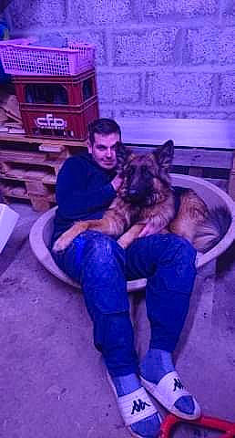 Samy a rejoint le concours — aidez-le/la à gagner de superbes lots ! canidae, german_shepherd_dog, hug, purple