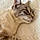 Minou