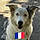 Sandrine Boisson