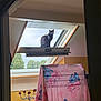 animal, black_cat, cartoon_dog_pattern, cat, chair, curious, curtain, daylight, feline, furniture, home_interior, indoor, looking, nature_outside, perched, pink_cloth, playful, skylight, trees, window