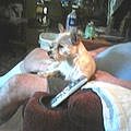Roxanne W. P.