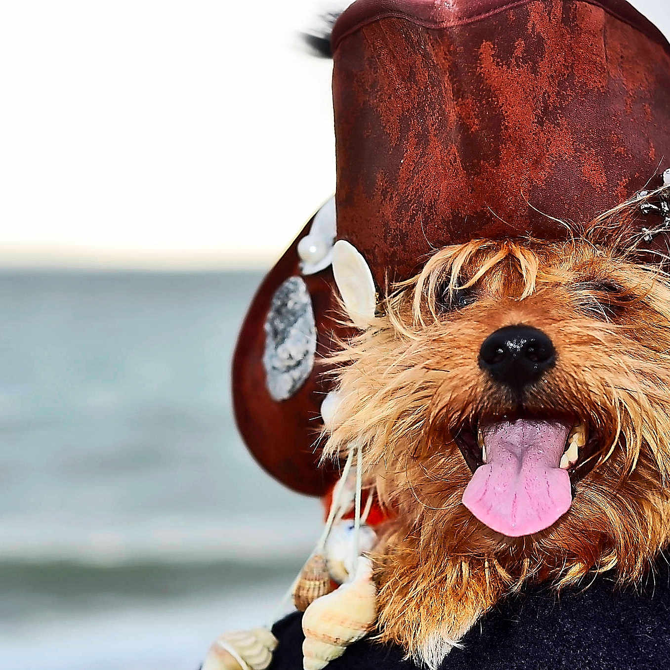 Percy Allen is registered to the contest to win money with this photo: