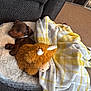 Fudge is registered to the contest to win money with this photo: puppy, dog, sleeping, bed, plush, stuffed_animal, toy, blanket, yellow, white, checkered, carpet, cozy, indoor, pet, resting, brown, furniture, relaxation, cute