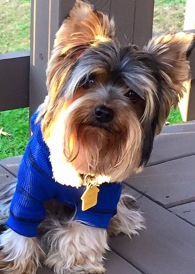 Nico is registered to the contest to win money with this photo: