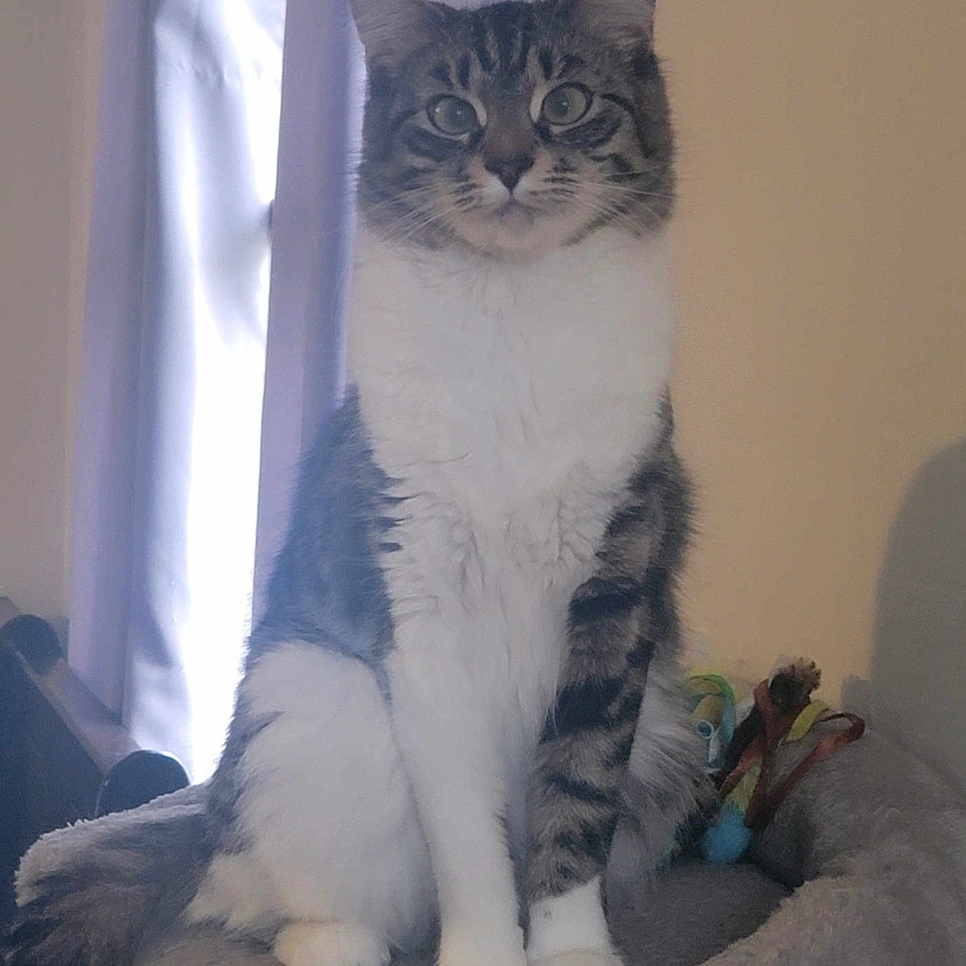 Lucy