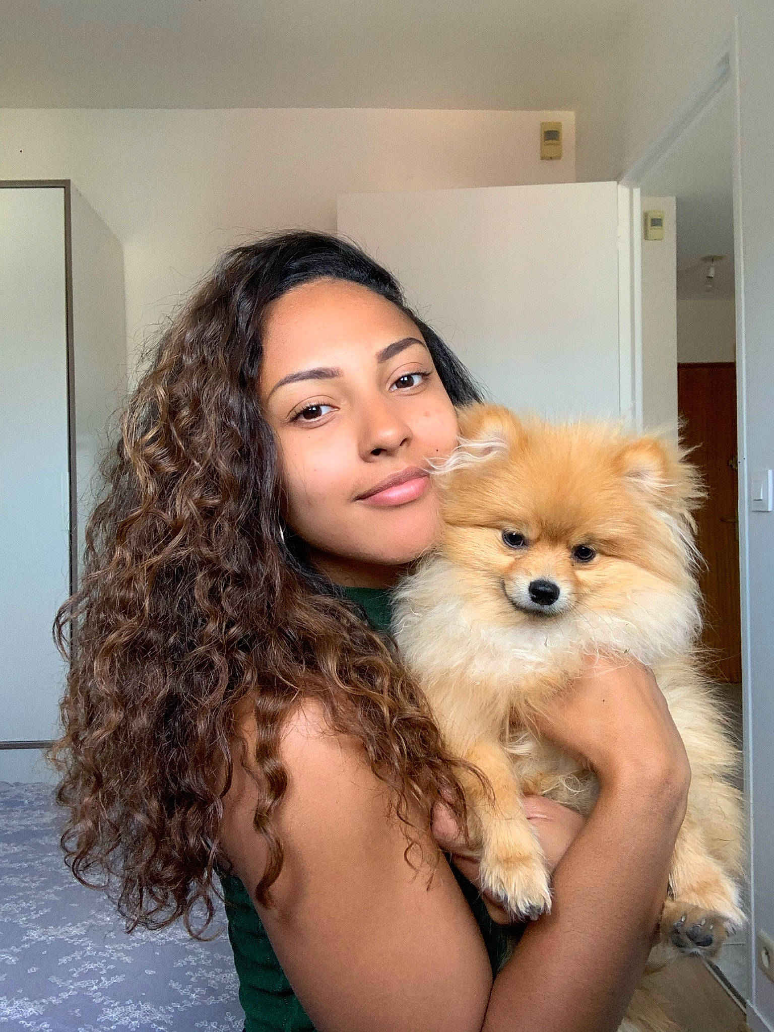 Gatsby participe au concours pour gagner de l'argent avec cette photo : blond, canidae, carnivore, companion_dog, dog, dog_breed, german_spitz, german_spitz_klein, german_spitz_mittel, hair, long_hair, mammal, non_sporting_group, pomeranian, puppy, puppy_love, skin, spitz, vertebrate, volpino_italiano