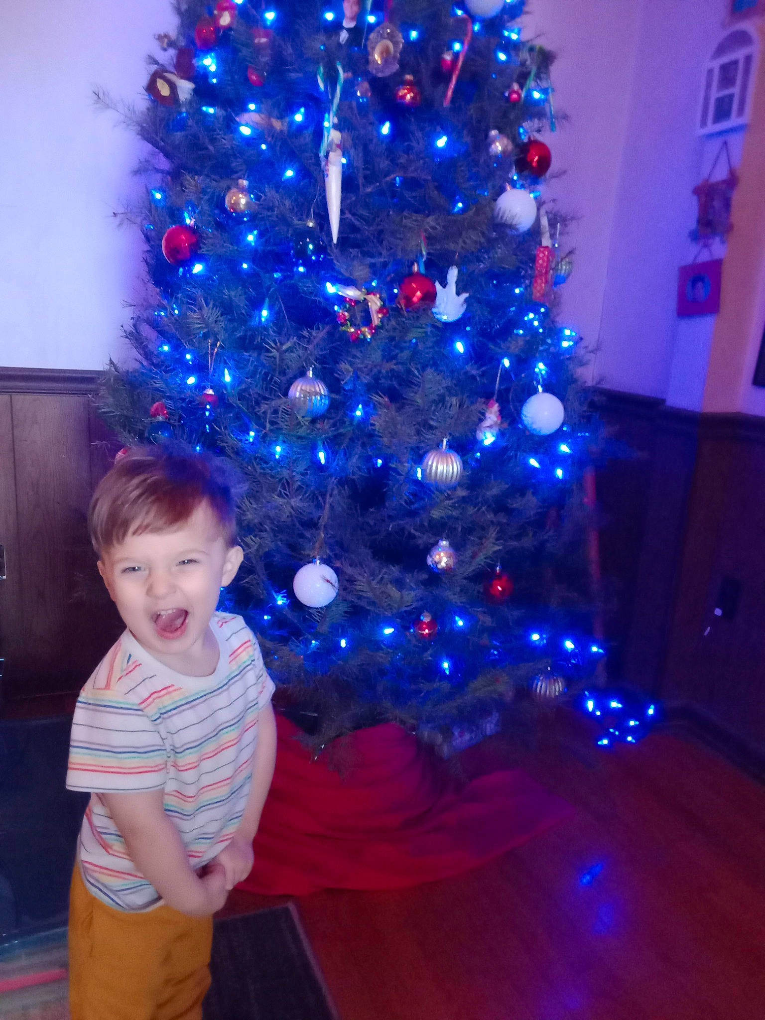 Justin is registered to the contest to win money with this photo: blue, christmas, christmas_decoration, christmas_ornament, christmas_tree, electric_blue, event, evergreen, holiday, holiday_ornament, larch, light, ornament, person, plant, purple, smile, standing, toddler, tree
